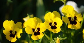 DSC01265.JPG