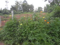 DSCN0162.JPG