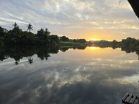 20250625_060629.jpg
