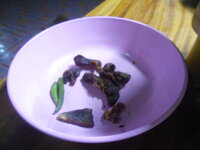 DSCN0177.JPG