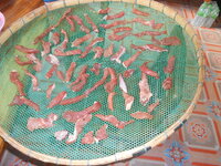 DSCN0133.JPG