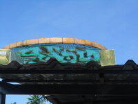 DSCN0138.JPG