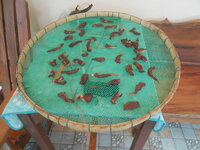 DSCN0116.JPG