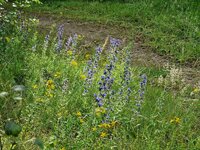 20240620_093957.jpg