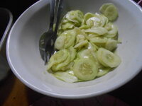 DSCN0041.JPG