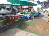 DSCN0281.JPG