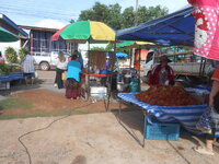DSCN0280.JPG