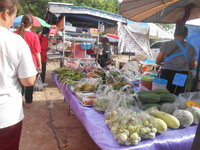 DSCN0282.JPG