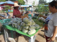 DSCN0285.JPG