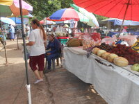 DSCN0284.JPG