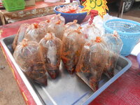 DSCN0279.JPG