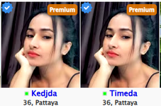 twins.png