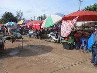 DSCN0289.JPG