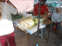 DSCN0288.JPG