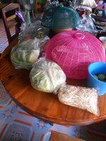 DSCN0302~2.JPG