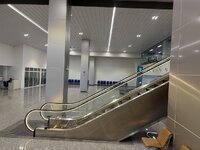 IMG_7725.jpeg