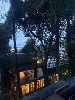 IMG_7743.jpeg