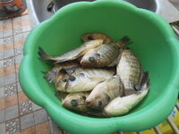 DSCN0275.JPG