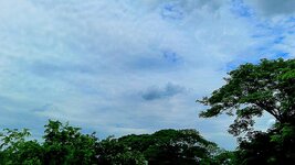 20250628_103813.jpg