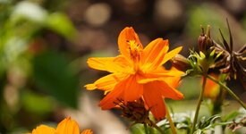 DSC01381.JPG