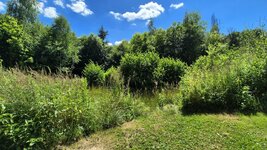 20250628_144944.jpg 20250628_144944.jpg