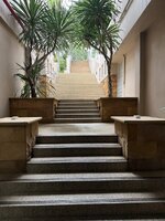 IMG_7774.jpeg