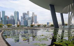 PXL_20250629_030125838~2.jpg