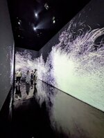 PXL_20250629_034738355~2.jpg