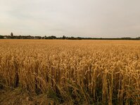 PXL_20240719_173231564~2.jpg