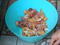 DSCN0387.JPG