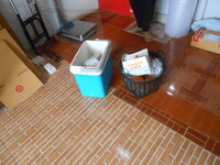 DSCN0517.JPG