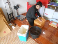 DSCN0519.JPG