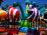 IMG_20250630_131224_045659.jpg