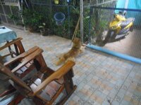 DSCN0831.JPG