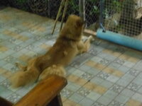 DSCN0832.JPG
