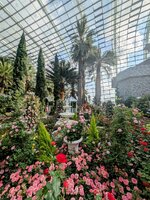 PXL_20250701_012307642~2.jpg