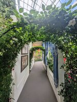 PXL_20250701_012423946~2.jpg