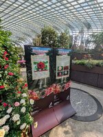 PXL_20250701_013156962~2.jpg