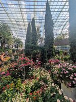 PXL_20250701_013359036~2.jpg