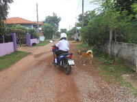 DSCN0736.JPG