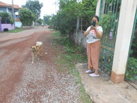 DSCN0737.JPG