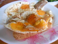 DSCN0326.JPG