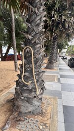 IMG_4246.jpeg