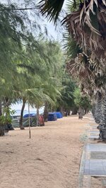 IMG_4247.jpeg