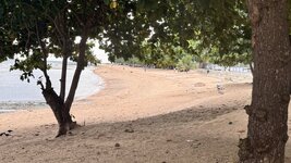 IMG_4257.jpeg