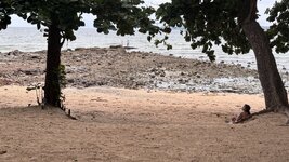 IMG_4258.jpeg