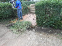 DSCN0567.JPG