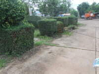 DSCN0566.JPG
