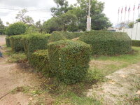 DSCN0568.JPG