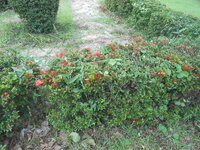 DSCN0571.JPG